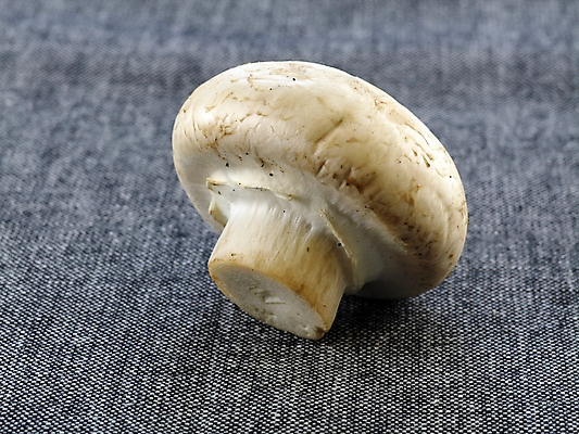 포토 JPG 해외이미지 음식 다이어트 채소 자연 건강 요리 사람없음 갈색 식사 저녁식사 버섯 튀김 수확 가을 흰색 신선 우아함 맛 먹기 내추럴 고립 곰팡이 채식주의자 캡모자 맛있는 해외포토 모자_잡화 계절 컬러 컨셉 농업 모션 생태계 채식 파일형식 이미지허브