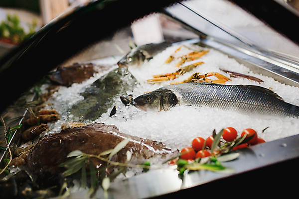 포토 JPG 해외이미지 동물 음식 바다 다이어트 비즈니스 자연 새우 건강 육류 어류 요리 사람없음 세일 상점 식당 냉동 얼음 식사 저녁식사 추위 신선 시장 해산물 날것 냉장고 모음 고등어 소매 슈퍼마켓 냉동고 생식 맛있는 해외포토 자연요소 식재료 갑각류 한글 수중동물 가전제품 생태계 파일형식 이미지허브