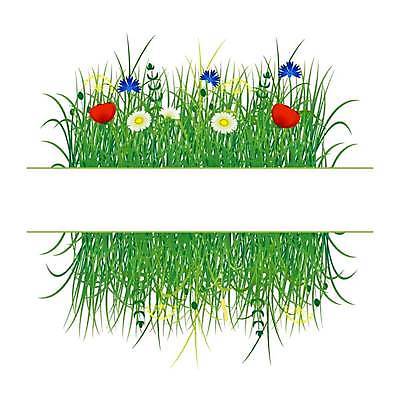 EPS 해외이미지 식물 디자인 계절 꽃 백그라운드 밭 일러스트 자연 휴가 잔디 초원 야외 초록색 여름 우주 경기장 봄 흰색 신선 센터 땅 허브 에코 질감 양귀비 내추럴 고립 돌봄 생태학 캐모마일 그리너리 해외일러스트 교육 컬러 농업 스포츠시설 모션 환경 생태계 파일형식 벡터 트랜드컬러 이미지허브