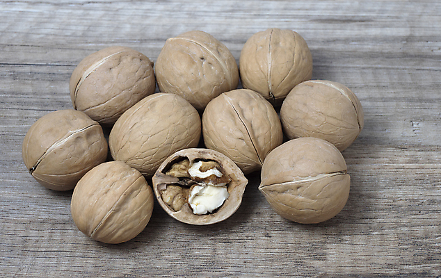 포토 JPG 해외이미지 음식 농업 다이어트 과일 재료 자연 건조 건강 씨앗 사람없음 갈색 견과류 수확 껍질 흰색 신선 유기농 알맹이 호두 단백질 바이오 밭일 맛있는 해외포토 식물 웰빙 산업 컬러 생태계 영양소 파일형식 이미지허브