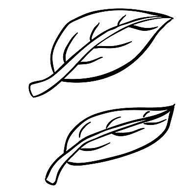 EPS 해외이미지 전통 손 잎 일러스트 자연 미술 낙서 만화 오브젝트 그림 복고 손그림 무료 해외일러스트 식물 문화예술 신체부위 생태계 파일형식 벡터 이미지허브