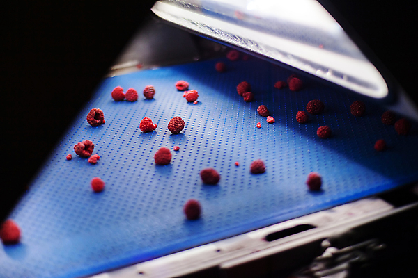 포토 JPG 해외이미지 공장 사람없음 냉동 어둠 기계 제조 산딸기 식품공장 냉동식품 해외포토 음식 과일 공업 파일형식 이미지허브