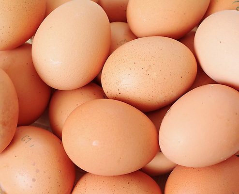 포토 JPG 해외이미지 실내 사람없음 계란 여러개 가득함 해외포토 다수 내부 알 파일형식 이미지허브