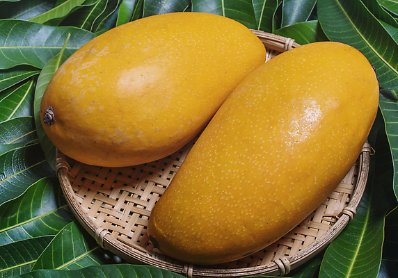 포토 JPG 해외이미지 나뭇잎 근접촬영 사람없음 하이앵글 노란색 바구니 망고 해외포토 뷰포인트 컬러 잎 열대과일 파일형식 이미지허브