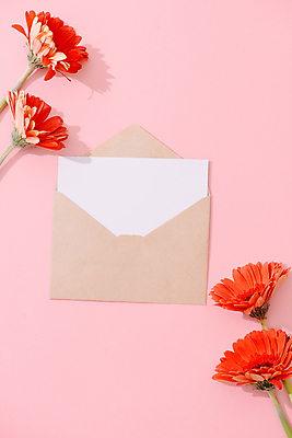 포토 JPG 해외이미지 꽃 편지봉투 실내 사람없음 오픈 목업 분홍색배경 해외포토 식물 분홍색 백그라운드 봉투 내부 편지 파일형식 이미지허브
