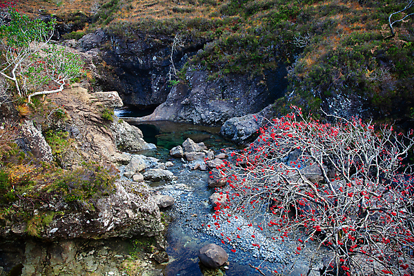 포토 JPG 해외이미지 열매 여행 백그라운드 자연 하늘 영국 산 사람없음 야외 빨간색 초록색 물 파란색 강 계곡 봄 트래킹 하이킹 개울 언덕 내추럴 스코틀랜드 해외포토 자연요소 식물 계절 유럽 컬러 레저 생태계 파일형식 이미지허브