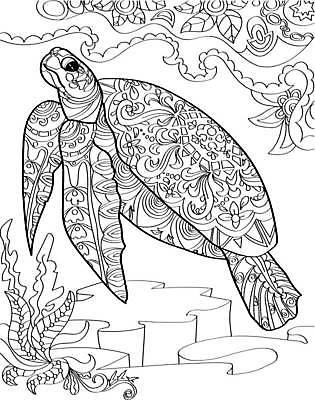 EPS 해외이미지 클립아트 모양 동물 디자인 실루엣 문화 어린이 백그라운드 꽃무늬 패턴 일러스트 포유류 파충류 자연 추상 흑백 성인 컴퓨터그래픽 장식 책 수중 화려 거북이 낙서 만화 문신 심볼 그림 윤곽 페이지 색칠공부 열대기후 해외일러스트 꽃 컨셉 무늬 촬영기법 사람 그래픽 학습 색칠 생태계 파일형식 벡터 이미지허브