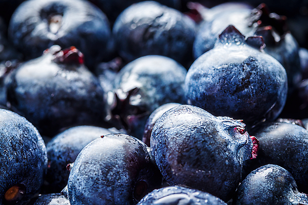 포토 JPG 해외이미지 실내 근접촬영 사람없음 아웃포커스 파란색 신선 달콤 가득함 블루베리 해외포토 뷰포인트 컬러 과일 촬영기법 내부 맛 파일형식 이미지허브