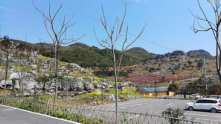 포토 JPG 해외이미지 식물 꽃 잎 꽃무늬 봄꽃 자연 사람없음 야외 빨간색 초록색 컬러풀 장미 보케 향 해외포토 컬러 무늬 봄 생태계 파일형식 이미지허브