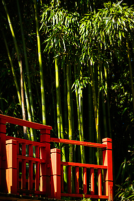 포토 JPG 해외이미지 전통 공원 선 여행 자연 동양인 풍경 사람없음 야외 목재 빨간색 세로 초록색 평화 정원 일본 봄 대나무 묘사 해외포토 나무 계절 공공시설 아시아 컬러 컨셉 재료 인종 생태계 파일형식 이미지허브