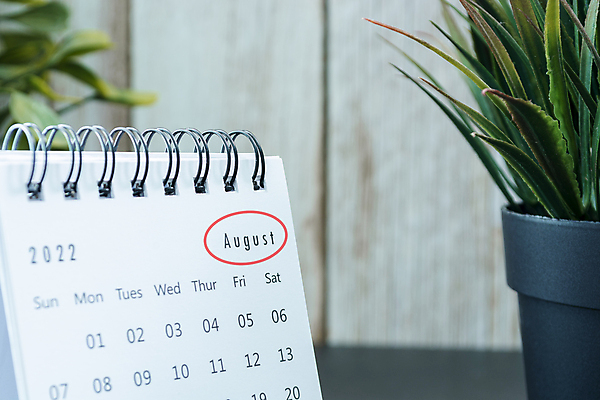 포토 JPG 해외이미지 식물 디자인 교육 백그라운드 컨셉 비즈니스 학교 휴가 새로움 새해 이벤트 사람없음 장식 초록색 사무실 우주 다이어리 달력 흰색 일주일 날짜 계획 냄비 소프트포커스 연도 심볼 책상 사인 심플 8월 월 마감 마케팅 조언 처음 카피스페이스 해외포토 컬러 가구 촬영기법 사무용품 공백 솥 파일형식 이미지허브