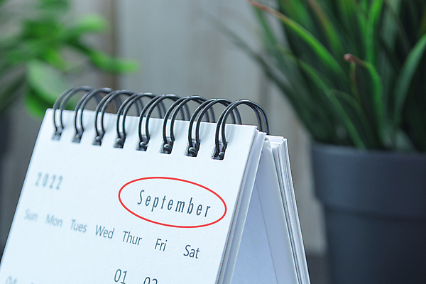 포토 JPG 해외이미지 식물 디자인 교육 백그라운드 컨셉 비즈니스 학교 휴가 새로움 새해 이벤트 사람없음 장식 초록색 사무실 우주 다이어리 달력 흰색 일주일 날짜 계획 냄비 소프트포커스 9월 연도 심볼 책상 사인 심플 월 마감 마케팅 조언 처음 카피스페이스 해외포토 컬러 가구 촬영기법 사무용품 공백 솥 파일형식 이미지허브