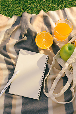 포토 JPG 해외이미지 주간 가방 오렌지 잔디 사람없음 야외 소풍 볼펜 사과 오렌지주스 돗자리 청사과 스프링노트 해외포토 자연요소 식물 잡화 과일 야외활동 펜 공책 과일주스 파일형식 이미지허브