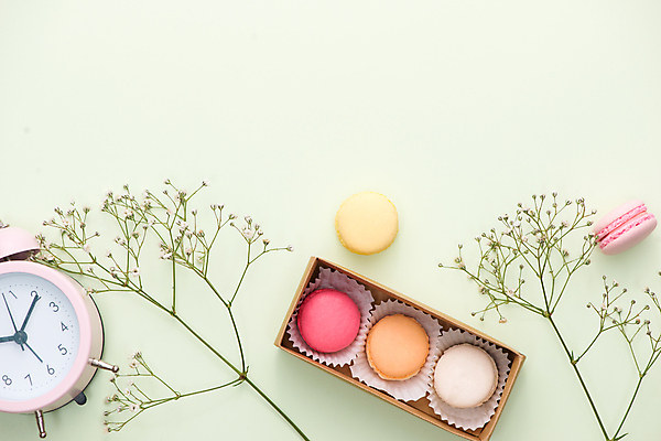 포토 JPG 해외이미지 식물 실내 사람없음 상자 탁상시계 마카롱 카피스페이스 초록배경 해외포토 시계 백그라운드 디저트 내부 초록색 공백 파일형식 이미지허브