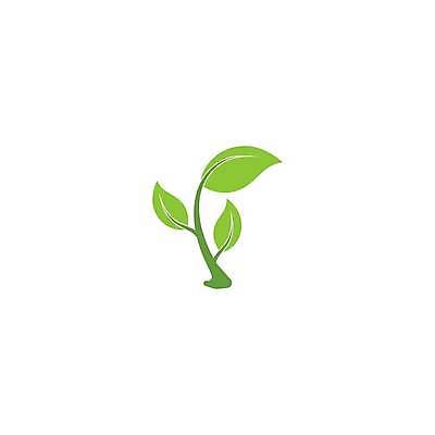 EPS 해외이미지 모양 나무 식물 디자인 컨셉 잎 꽃무늬 일러스트 자연 장식 초록색 세트 환경 성장 신선 플랫 심볼 사인 에코 유기농 내추럴 고립 바이오 생태학 엘리먼트 해외일러스트 웰빙 교육 꽃 컬러 무늬 생태계 파일형식 벡터 이미지허브