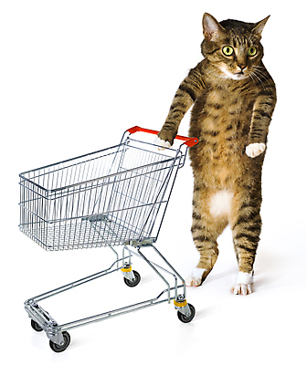 포토 JPG 해외이미지 동물 아이디어 사람없음 반려동물 반사 세일 바구니 상점 고양이 카트 유머 시장 선택 구매 컨테이너 무역 슈퍼마켓 고립 독립 실행 우울감 사용자 해외포토 감정 산업 컨셉 포유류 쇼핑 파일형식 이미지허브