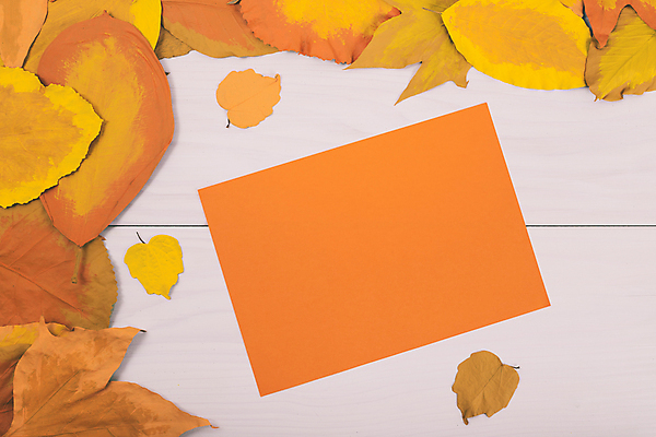 포토 JPG 해외이미지 스튜디오촬영 식물 계절 교육 종이 백그라운드 컨셉 잎 패턴 오렌지 자연 아이디어 창조 미술 사람없음 목재 장식 가로 한개 갈색 노란색 쪽지 페인트 공백 화려 메시지 배열 질감 흙더미 구성 카피스페이스 해외포토 나무 1 컬러 무늬 과일 재료 문화예술 실내 흙 생태계 파일형식 더미 이미지허브