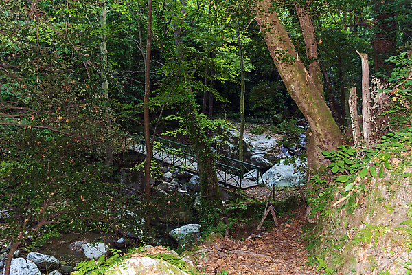 포토 JPG 해외이미지 나무 전통 여행 건축양식 자연 산 사람없음 야외 초록색 물 강 컬러풀 환경 흐름 탐험 개울 숲 그리스 그리스인 내추럴 산악지대 옛날 해외포토 자연요소 서양인 식물 건축 유럽 컬러 컨셉 생태계 파일형식 이미지허브
