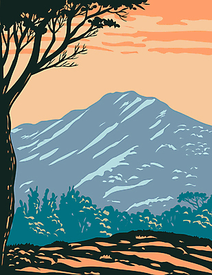 JPG 해외이미지 나무 일러스트 자연 산 국립공원 사람없음 일몰 그림 캘리포니아 카툰스타일 해외일러스트 식물 공원 노을 미국 생태계 파일형식 이미지허브