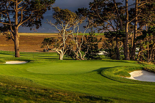 포토 JPG 해외이미지 골프 골프장 사람없음 초록색 미국 캘리포니아 페어웨이 해외포토 컬러 북아메리카 스포츠시설 구기 파일형식 이미지허브