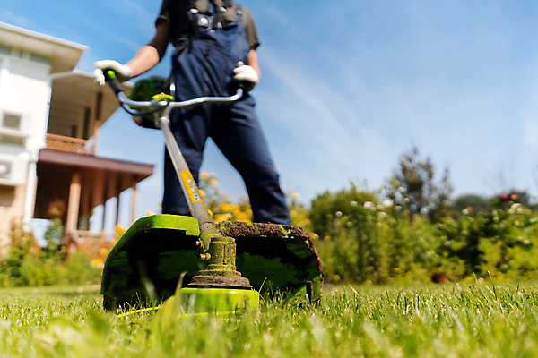 포토 JPG 해외이미지 식물 백인 라이프스타일 공원 남자 밭 농업 자연 노동자 주택 한명 사람 잔디 야외 초록색 농장 정원 맑음 기계 봄 장비 성장 흰색 공구 시골 업무 고급 농부 자르기 원예 유지 돌봄 뒤뜰 밭일 원예사 커터 해외포토 서양인 직업 1 계절 공공시설 산업 컬러 컨셉 모션 날씨 취미 건물 생활 도구 작업 생태계 파일형식 이미지허브
