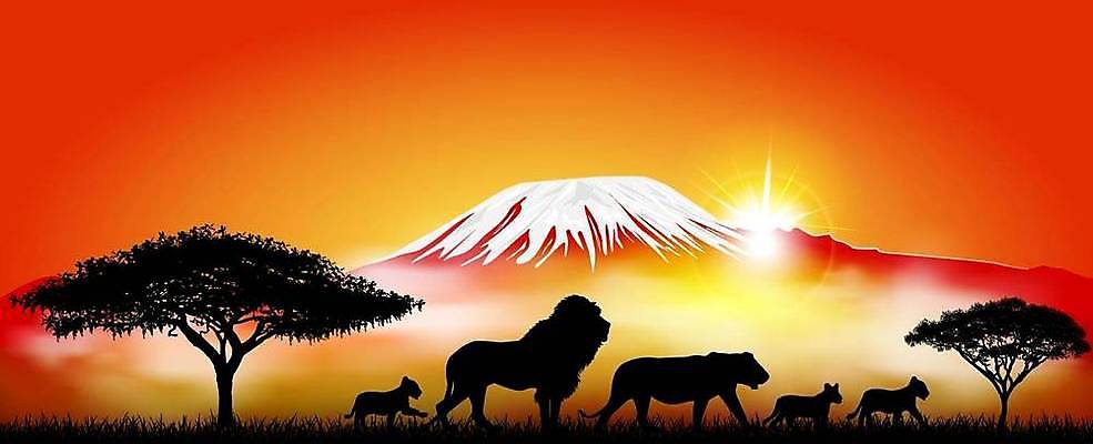 EPS 해외이미지 나무 식물 동물 구름 실루엣 여행 백그라운드 일러스트 포유류 아프리카 자연 하늘 아침 추상 산 서기 풍경 초원 빨간색 태양 맑음 검은색 고양이 일몰 새벽 야간 저녁 사자 심볼 사파리 화산 정사각형 산봉우리 서식지 아카시아 동물상 사바나 평야 해외일러스트 주간 자연요소 도형 나라 컬러 무늬 모션 날씨 촬영기법 반려동물 조형물 노을 생태계 봉우리 파일형식 벡터 이미지허브