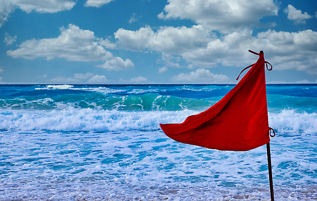 포토 JPG 해외이미지 나무 모래 파도 바다 잎 자연 하늘 경고 경비 사람없음 빨간색 물 여름 파란색 깃발 거친 서핑 위험 안전요원 칸쿤 해외포토 자연요소 식물 계절 컬러 컨셉 멕시코 안전 수상스포츠 보호 생태계 파일형식 이미지허브