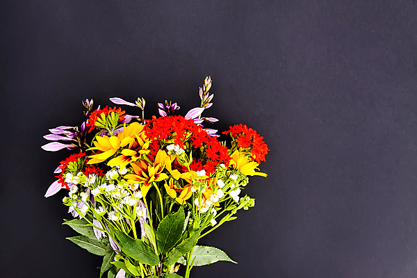 포토 JPG 해외이미지 라이프스타일 디자인 꽃 종이 분홍색 꽃다발 결혼 백그라운드 컨셉 꽃무늬 자연 휴가 봉투 선물 사랑 사람없음 장식 파란색 우주 검은색 축제 놀람 봄 공백 장비 낭만 수확 흰색 인사 신용카드 생일 메시지 플랫 정상 편지 배열 초대 캐모마일 파스텔톤 목업 해외포토 식물 계절 기념일 감정 컬러 무늬 농업 표정 이벤트 생활 금융 예절 허브 생태계 파일형식 이미지허브