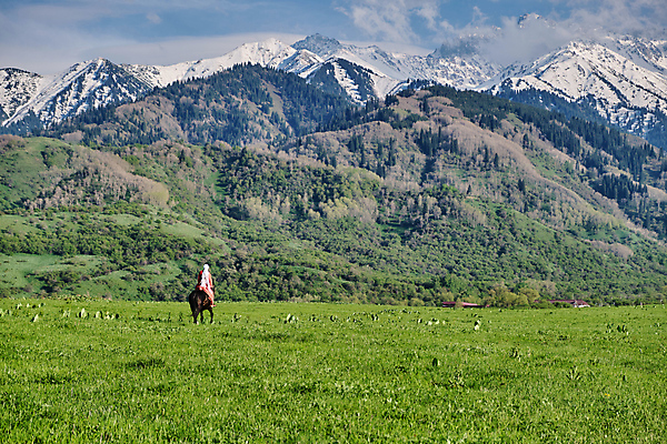 포토 JPG 해외이미지 전신 동물 아시아 문화 자연 하늘 산 한명 사람 사람없음 야외 가로 초록색 컬러풀 가축 승차 전통의상 스텝 여자한명만 해외포토 1 전통 나라 컬러 모션 생태계 여자만 파일형식 이미지허브