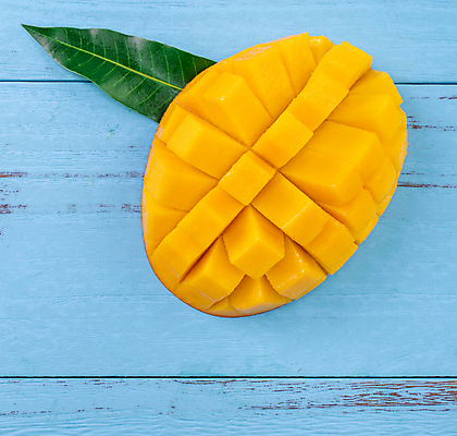 포토 JPG 해외이미지 스튜디오촬영 하늘색 나뭇잎 근접촬영 사람없음 하이앵글 노란색 망고 해외포토 뷰포인트 컬러 잎 실내 파란색 열대과일 파일형식 이미지허브