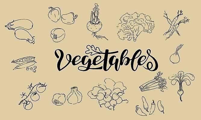 EPS 해외이미지 손 잎 토마토 채소 일러스트 자연 고추 가지 양파 마늘 초록색 세트 당근 샐러드 수확 맛 상추 스케치 수집 먹기 허브 오브젝트 완두콩 후추 고립 총각무 해외일러스트 식물 음식 컬러 컨셉 농업 모션 콩 뿌리채소 미술 신체부위 무 향신료 생태계 파일형식 벡터 이미지허브