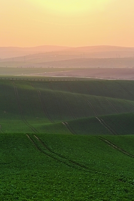 포토 JPG 해외이미지 나무 식물 계절 유럽 선 파도 백그라운드 밭 농업 자연 추상 사람없음 야외 초록색 빛 농장 농경지 일출 환경 일몰 놀람 봄 시골 숲 언덕 체코 남쪽 내추럴 공화국 토스카나 모라비아 해외포토 감정 나라 산업 바다 컬러 무늬 표정 노을 이탈리아 방향 생태계 파일형식 이미지허브