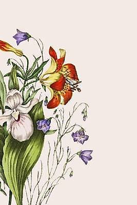 EPS 해외이미지 식물 꽃 일러스트 사람없음 복고 해외일러스트 파일형식 벡터 이미지허브