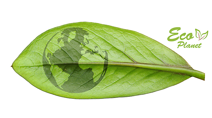 포토 JPG 해외이미지 나무 식물 지구 조각 컨셉 잎 지도 자연 미래 아이디어 사람없음 초록색 물 파란색 세계 지구본 환경 재활용 행성 에너지 흰색 원형 보호 이슬 땅 자르기 에코 생태계 유지 고립 모종 바이오 사방 생태학 여의주 해외포토 자연요소 도형 교육 컬러 모션 우주 친환경 파일형식 이미지허브