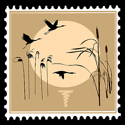 JPG 해외이미지 실루엣 일러스트 오리 세마리 사람없음 태양 학 우표 베이지색 부들 해외일러스트 자연요소 컬러 조류 촬영기법 3 파일형식 이미지허브