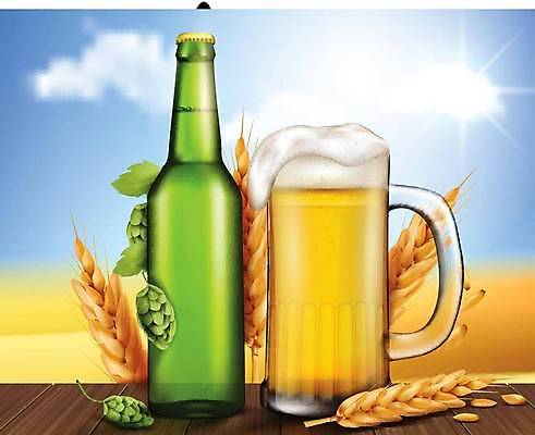 EPS 해외이미지 디자인 일러스트 맥주 사람없음 맥주잔 맥주병 맥주거품 옥토버페스트 홉 해외일러스트 식물 술잔 술병 주류 거품 파일형식 벡터 이미지허브