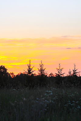 포토 JPG 해외이미지 구름 계절 분홍색 여행 백그라운드 오렌지 자연 하늘 아침 날씨 추상 풍경 사람없음 야외 빨간색 여름 파란색 빛 컬러풀 햇빛 태양 뷰티 노란색 우주 일출 맑음 황혼 일몰 새벽 활발 황금 저녁 장면 천국 솜털 웅장함 수평선 해외포토 주간 자연요소 컬러 컨셉 무늬 과일 노을 야간 생태계 파일형식 이미지허브