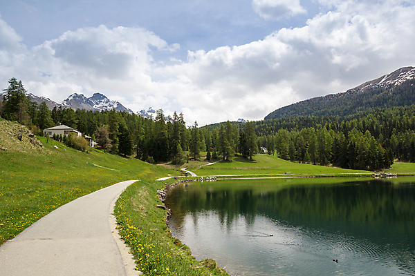 포토 JPG 해외이미지 나무 유럽 도로 길 호수 여행 자국 자연 산 파노라마 풍경 사람없음 물 여름 파란색 뷰티 반사 스위스 알프스 암초 해외포토 자연요소 식물 계절 나라 컬러 교통시설 촬영기법 생태계 파일형식 이미지허브