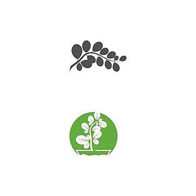 EPS 해외이미지 나무 식물 디자인 음식 잎 채소 일러스트 자연 건강 미술 초록색 환경 정원 신선 약국 허브 심볼 유기농 조제 내추럴 고립 생태학 채식주의자 해외일러스트 웰빙 교육 컬러 의학 문화예술 약 생태계 채식 만들기 파일형식 벡터 이미지허브