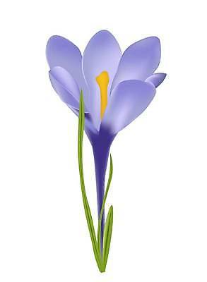 EPS 해외이미지 식물 계절 꽃잎 꽃 줄기 꽃다발 백그라운드 잎 일러스트 자연 초록색 파란색 농작물 머리 보라색 봄 들꽃 벚꽃 흰색 꽃술 시골 투명 우아함 작음 자주색 자르기 오브젝트 싱글 장면 붓꽃 고립 해외일러스트 컬러 컨셉 농업 모션 신체부위 크기 생태계 파일형식 벡터 이미지허브