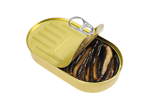 포토 JPG 해외이미지 음식 바다 재료 통 어류 사람없음 빛 오픈 캔 컨테이너 먹기 가득함 해산물 준비 통조림 고립 단백질 줄서기 해외포토 산업 모션 수중동물 영양소 파일형식 이미지허브