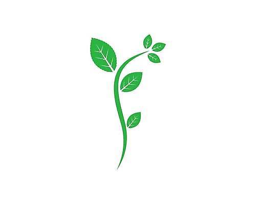 EPS 해외이미지 식물 디자인 선 백그라운드 잎 일러스트 재료 자연 건강 장식 초록색 가을 신선 만 차 시원함 민트 허브 심볼 유기농 향 바질 로즈메리 내추럴 쪽파 고립 딜 백리향 세이지 오레가노 해외일러스트 웰빙 계절 음료 컬러 생태계 파 파일형식 벡터 채소 이미지허브