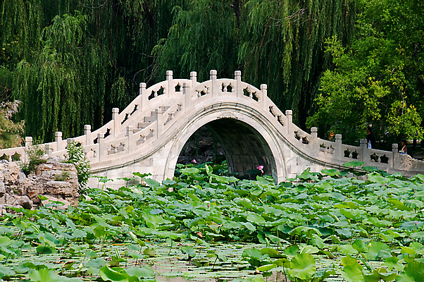포토 JPG 해외이미지 나무 식물 꽃잎 꽃 아시아 호수 잎 건축양식 파노라마 연꽃 동양인 풍경 사람없음 건물 초록색 정원 침묵 고요 연못 역사 백합 관목 생물학 향기 신성 내추럴 이국적 해외포토 건축물 교육 건축 나라 컬러 촬영기법 인종 소리 냄새 파일형식 이미지허브
