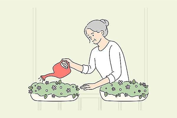 EPS 해외이미지 여자 노년 화초 일러스트 자연 한명 들기 초록색 물뿌리개 물주기 원예 노인여자한명만 해외202309 해외일러스트 식물 1 컬러 모션 사람 성인 취미 생태계 여자한명만 노인여자만 파일형식 벡터 이미지허브