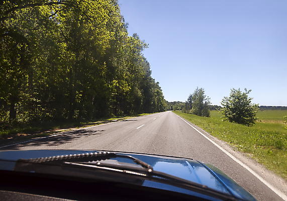 포토 JPG 해외이미지 나무 식물 계절 도로 여행 백그라운드 밭 창문 모션 자동차 자연 유리 하늘 실내 서기 안전 풍경 사람없음 빛 태양 봄 운전 고속도로 운전사 승차 숲 아스팔트 관목 속도 계기판 선로 많음 해외포토 자연요소 직업 길 육상교통 컨셉 농업 교통시설 재질 내부 생태계 파일형식 이미지허브