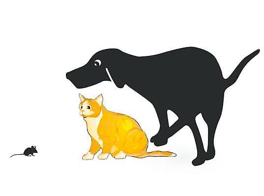 EPS 해외이미지 동물 일러스트 함께함 반려동물 검은색 고양이 우정 수비 개 쥐 위험 무서움 조심 해외일러스트 감정 컬러 컨셉 포유류 모션 친구 설치류 파일형식 벡터 이미지허브