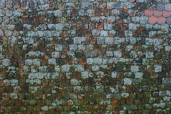 포토 JPG 해외이미지 전통 디자인 외관 백그라운드 패턴 오렌지 건축양식 표면 지붕 날씨 추상 주택 이끼 사람없음 건물 빨간색 초록색 갈색 수확 덮개 시골 도자기 거친 정상 옥상 타일 묘사 질감 점토 루마니아 내추럴 석판 옛날 줄서기 해외포토 건축물 건축 유럽 컬러 무늬 농업 과일 모션 뚜껑 파일형식 이미지허브