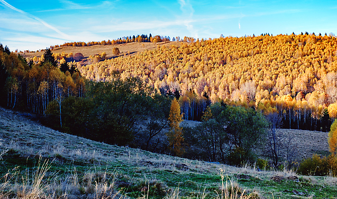 포토 JPG 해외이미지 전통 유럽 여행 백그라운드 자연 하늘 산 주택 사람없음 야외 건물 목재 파란색 농가 농장 마을 계곡 수확 시골 소나무 정상 숲 오두막 언덕 그림 시골집 루마니아 샬레 옛날 해외포토 나무 건축물 나라 컬러 농업 재료 실험기구 생태계 파일형식 이미지허브