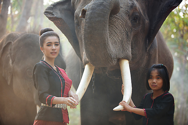 포토 JPG 해외이미지 나무 동물 전통 라이프스타일 실루엣 아시아 종교 문화 야생동물 여행 밭 농업 포유류 태국 자연 아침 코끼리 그림자 사람 동양인 두명 농장 마을 일출 환경 일몰 시골 농부 숲 신성 상아 북쪽 전국 해외포토 주간 식물 직업 나라 산업 촬영기법 인종 생활 노을 방향 생태계 파일형식 이미지허브