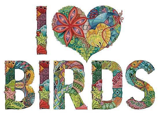 EPS 해외이미지 일러스트 사랑 타이포그라피 사람없음 단어 하트 화려 젠탱글 해외일러스트 모양 문자 감정 컨셉 파일형식 벡터 이미지허브